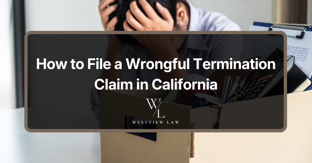 Employee consulting with an employment attorney about a wrongful termination claim